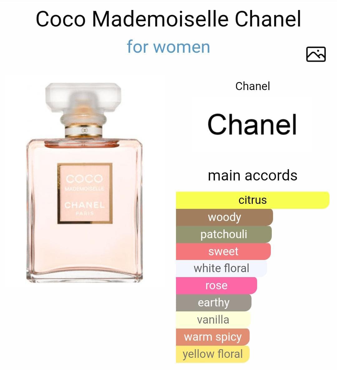 Image of Coco Mademoiselle