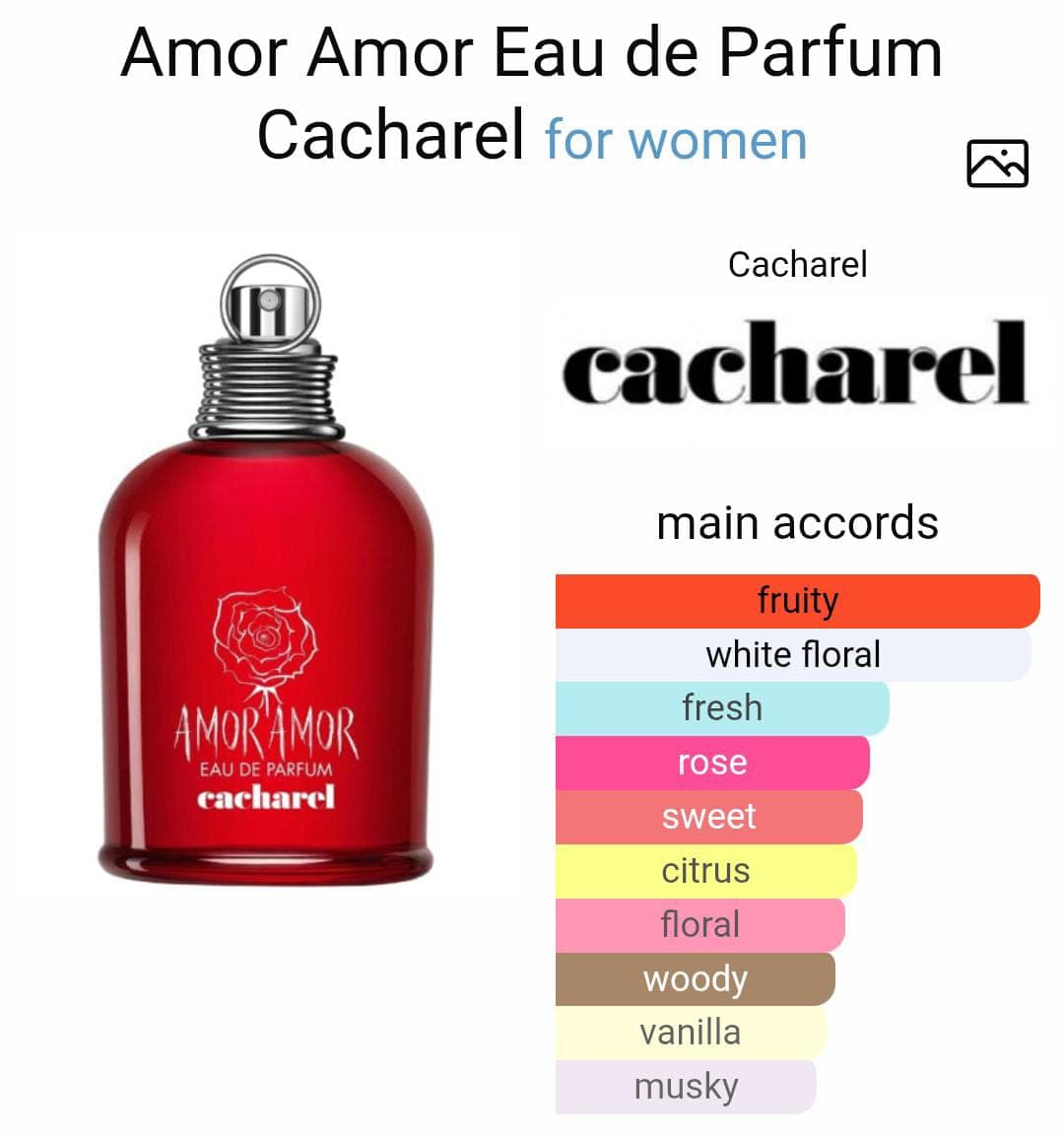 Image of Amor Amor
