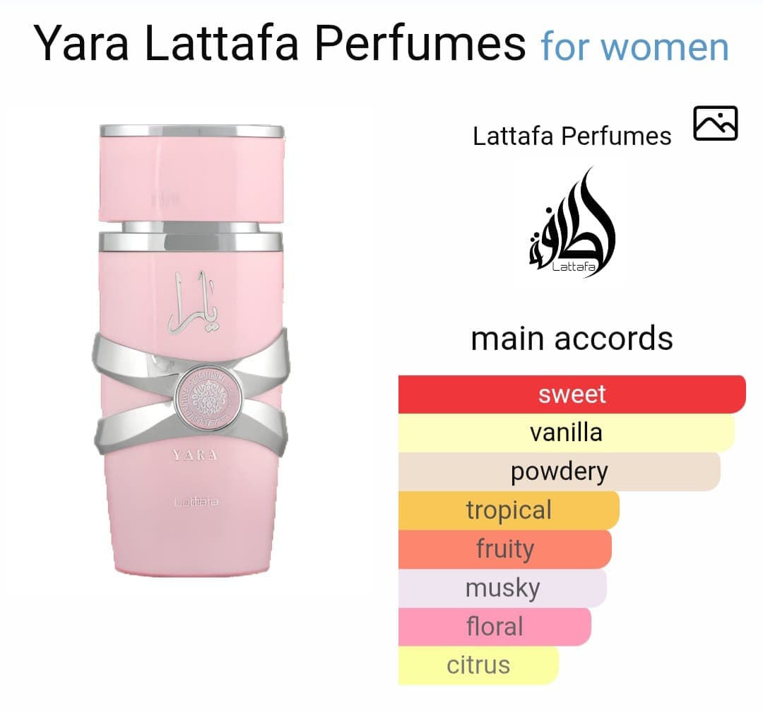 Image of Yara Lattafa